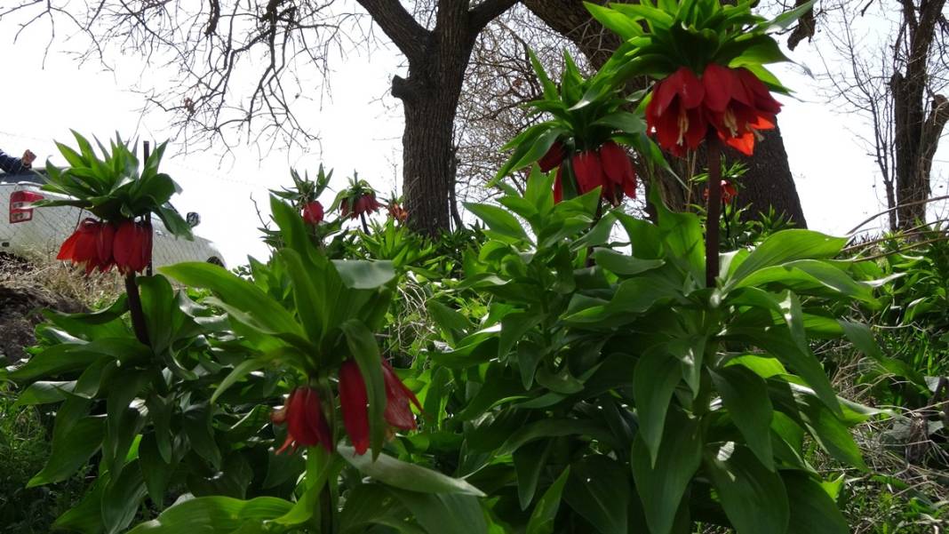 Bu insanlar neye bakıyor? Gece-gündüz nöbet tutuyorlar, ilk kez görenler şaştı kaldı! 33